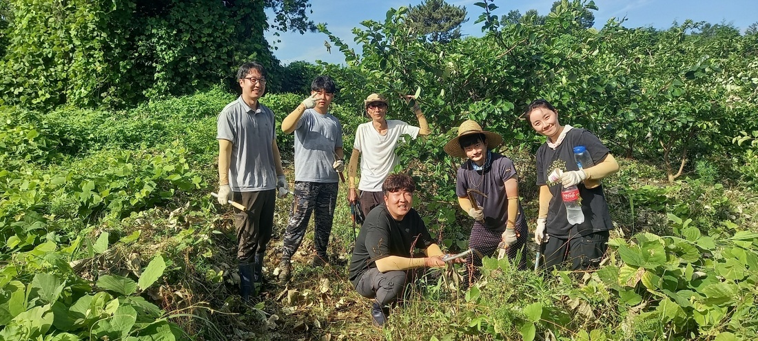 꾸지뽕밭에서 일을하며...